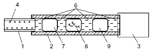 Automatic device for heterogeneous immunization rapid analysis and use method of automatic device