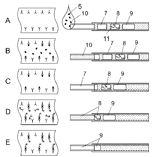 Automatic device for heterogeneous immunization rapid analysis and use method of automatic device