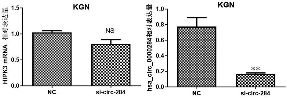 Diagnostic biomarker and application thereof