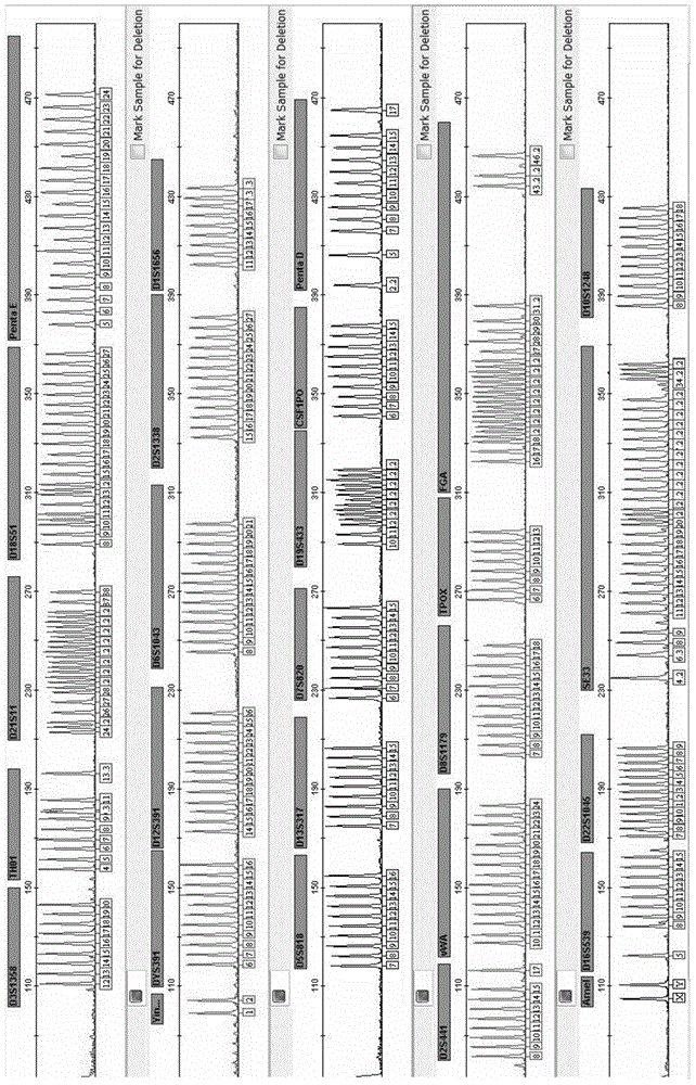 Autosome STR gene locus fluorescent labeling composite amplification kit having enhanced identification ability, and applications thereof