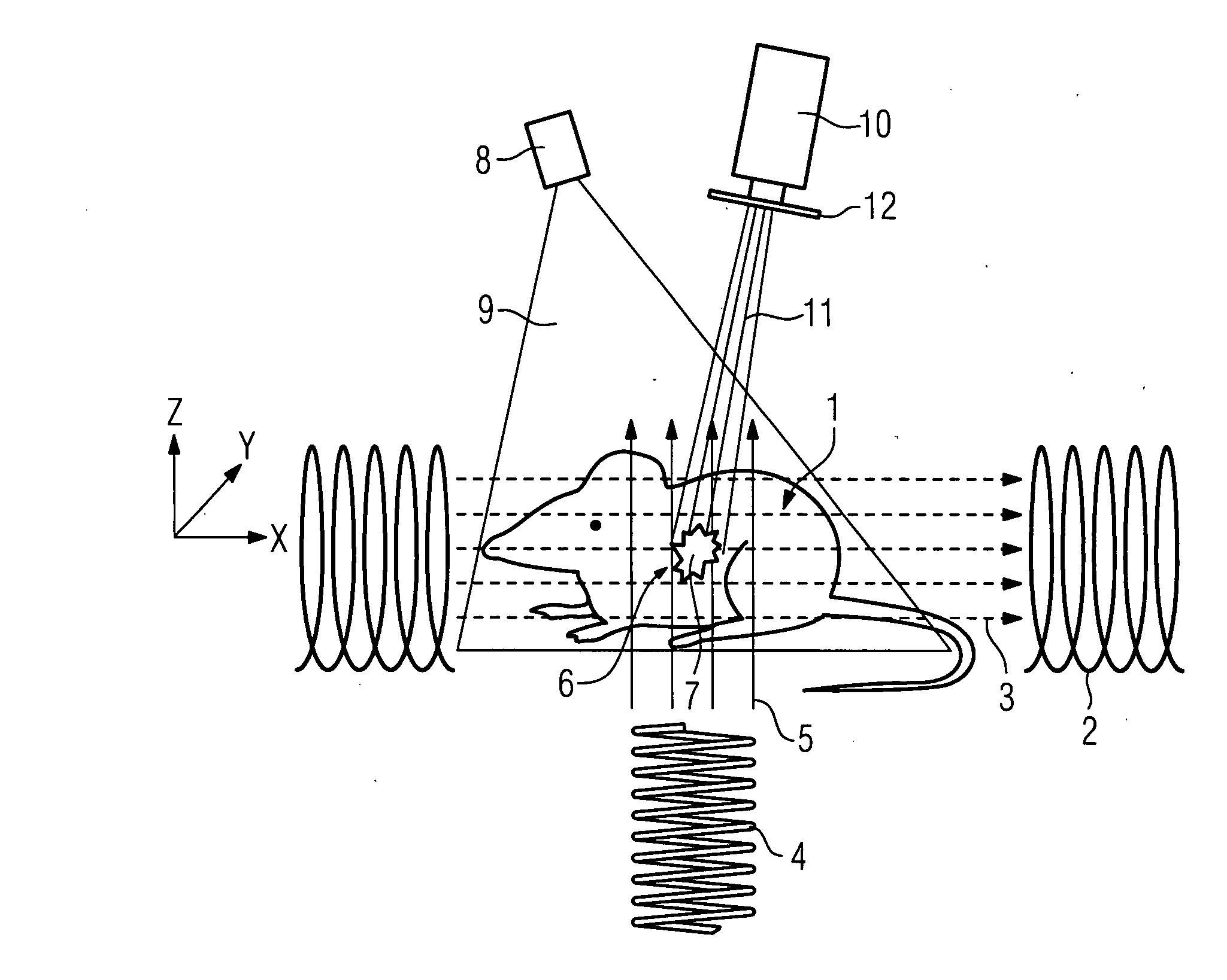 Method and device for examining a biological tissue