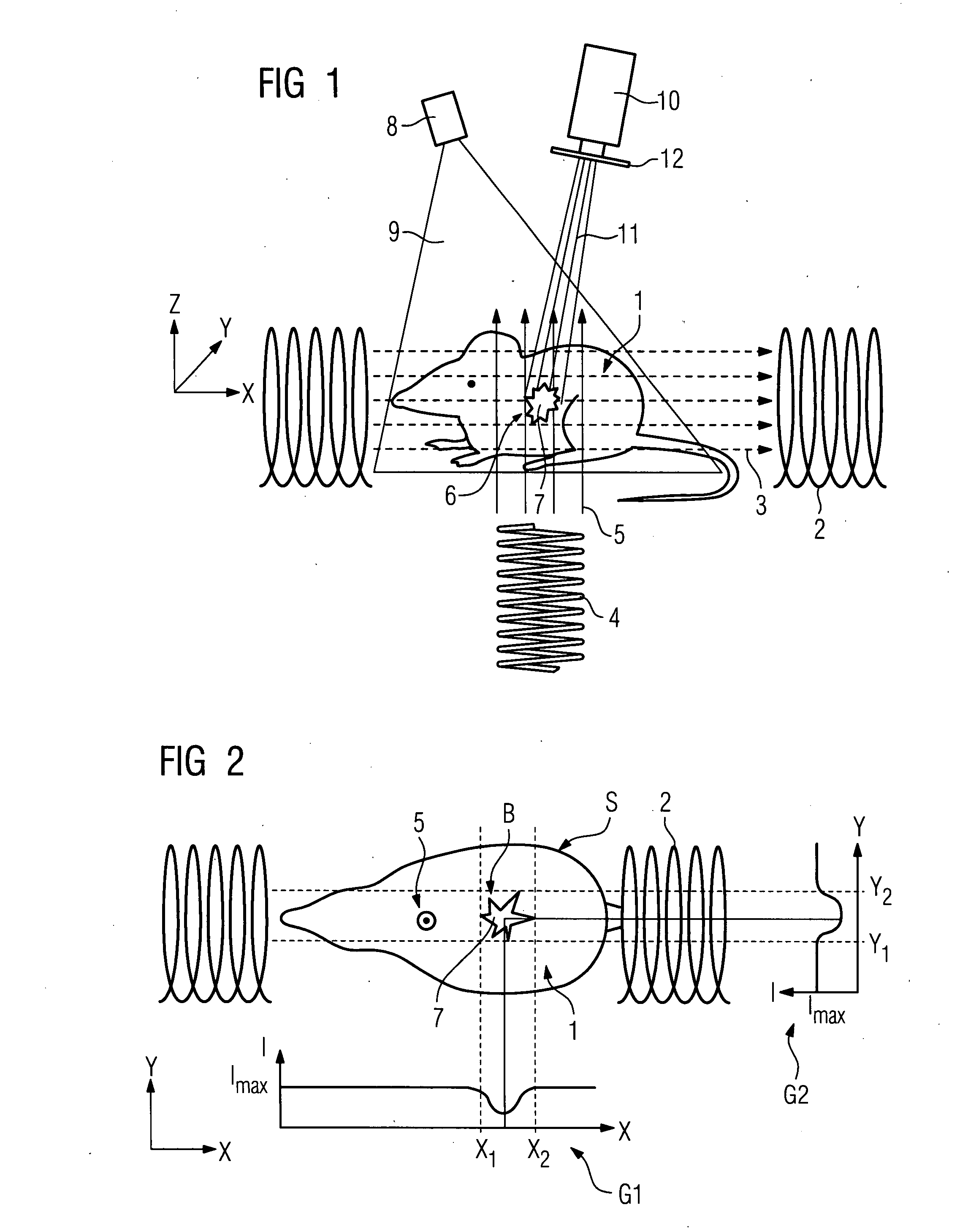 Method and device for examining a biological tissue