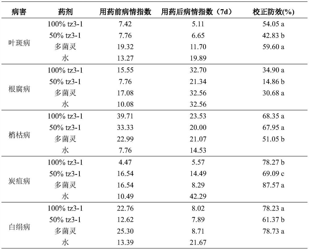 Application of streptomyces diastatochromogenes metabolite in prevention and treatment of dendrobium officinale diseases