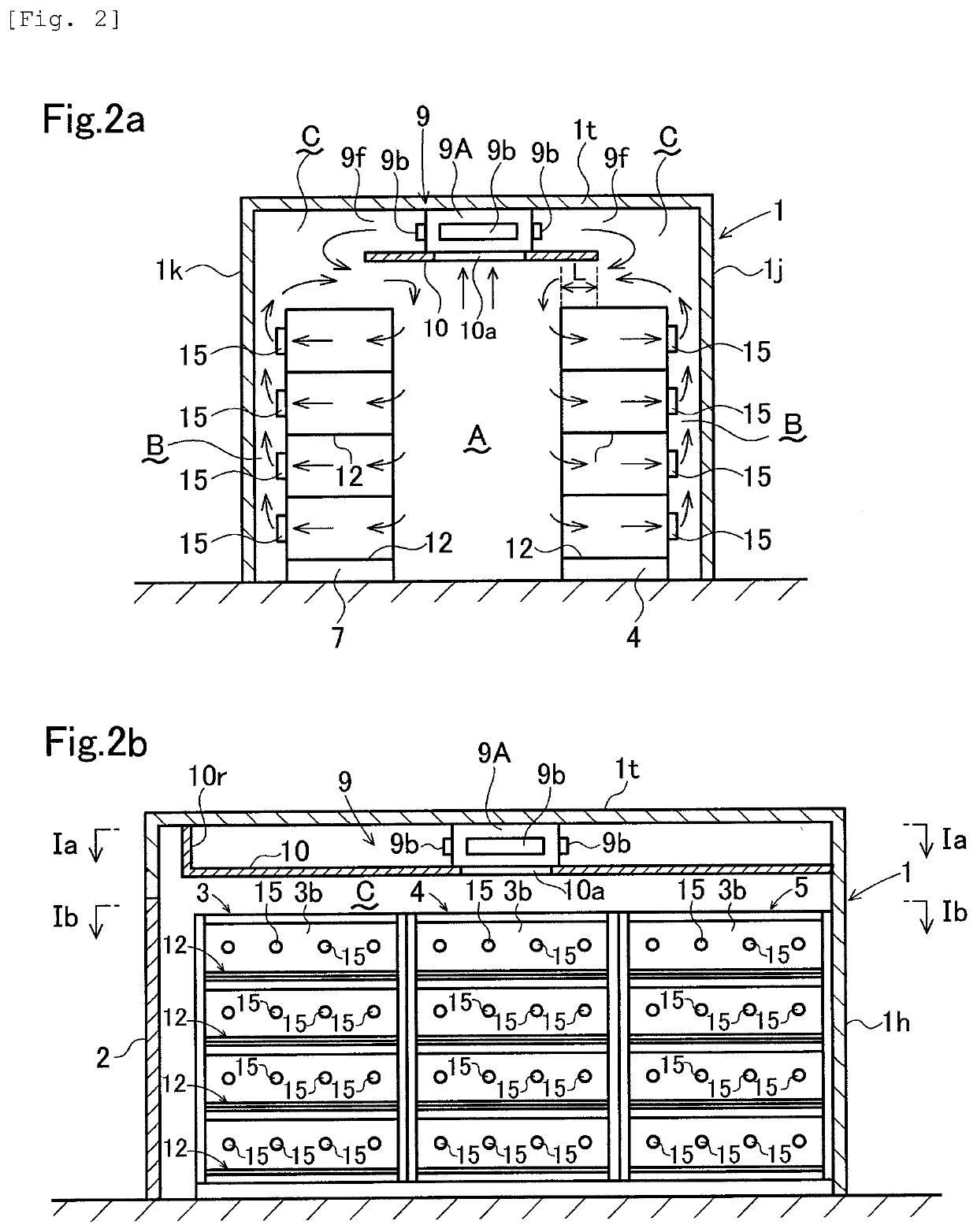 Cultivation apparatus and cultivation method for solanaceae seedlings