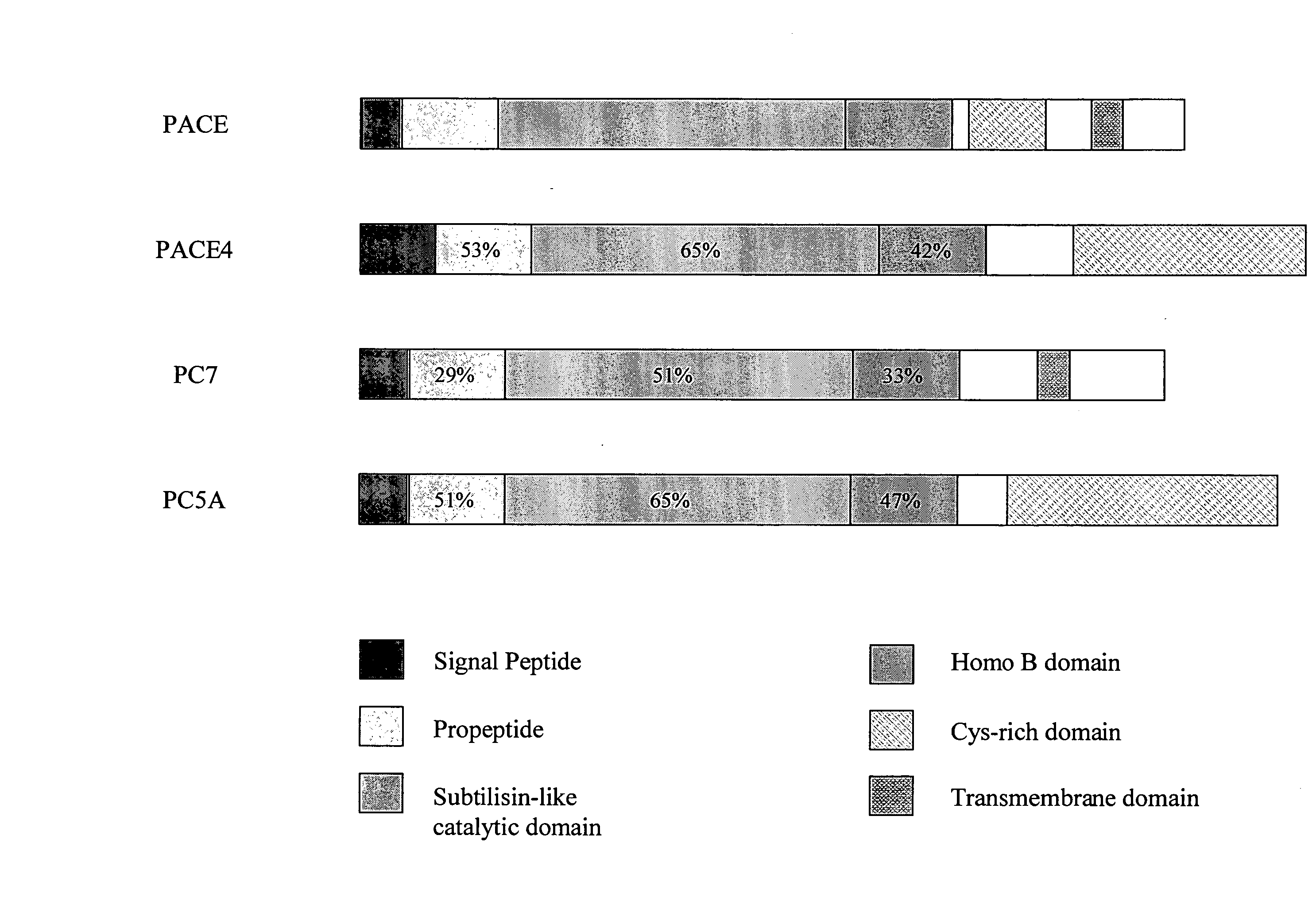 PC5 as a factor IX propeptide processing enzyme