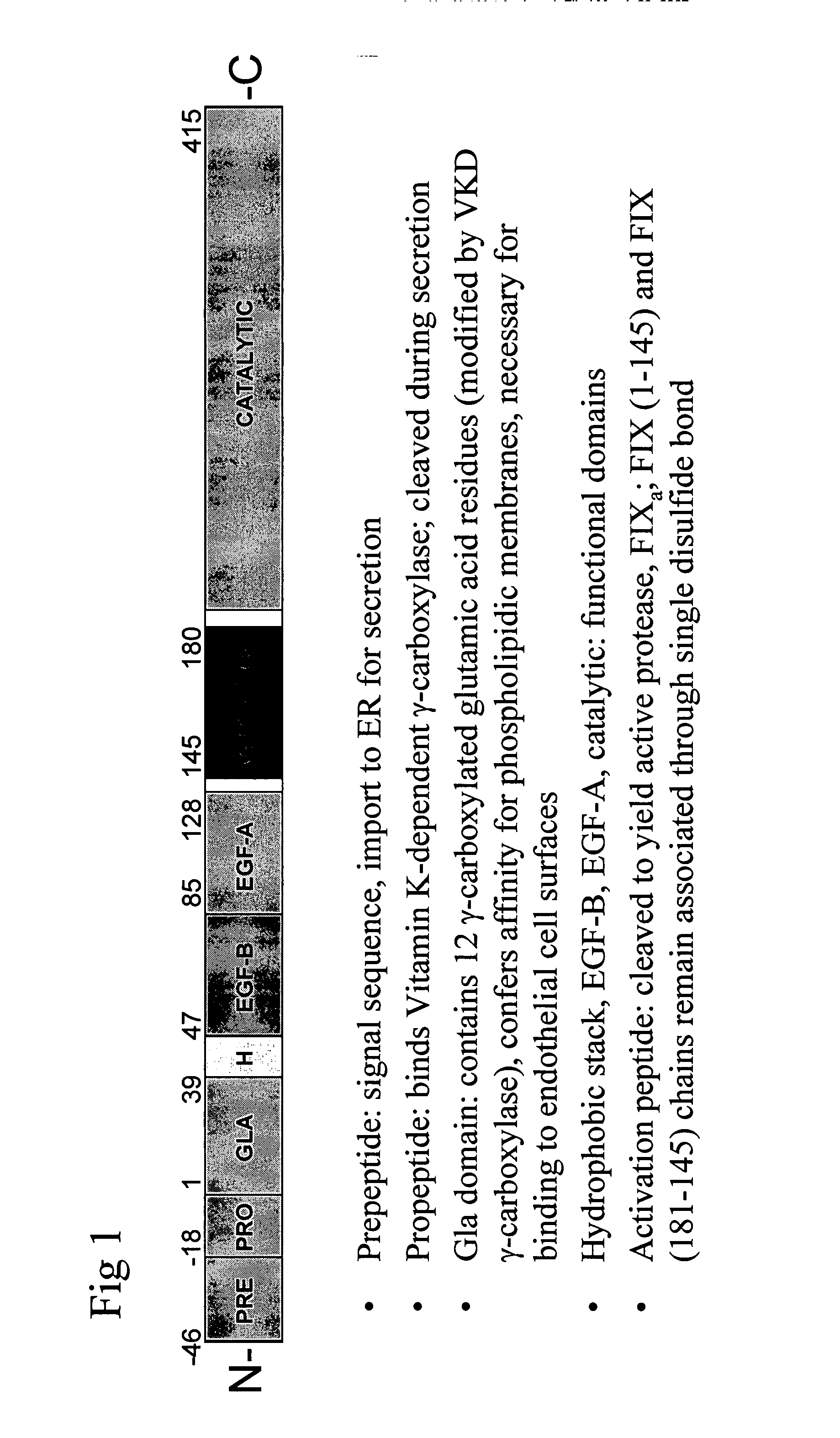 PC5 as a factor IX propeptide processing enzyme