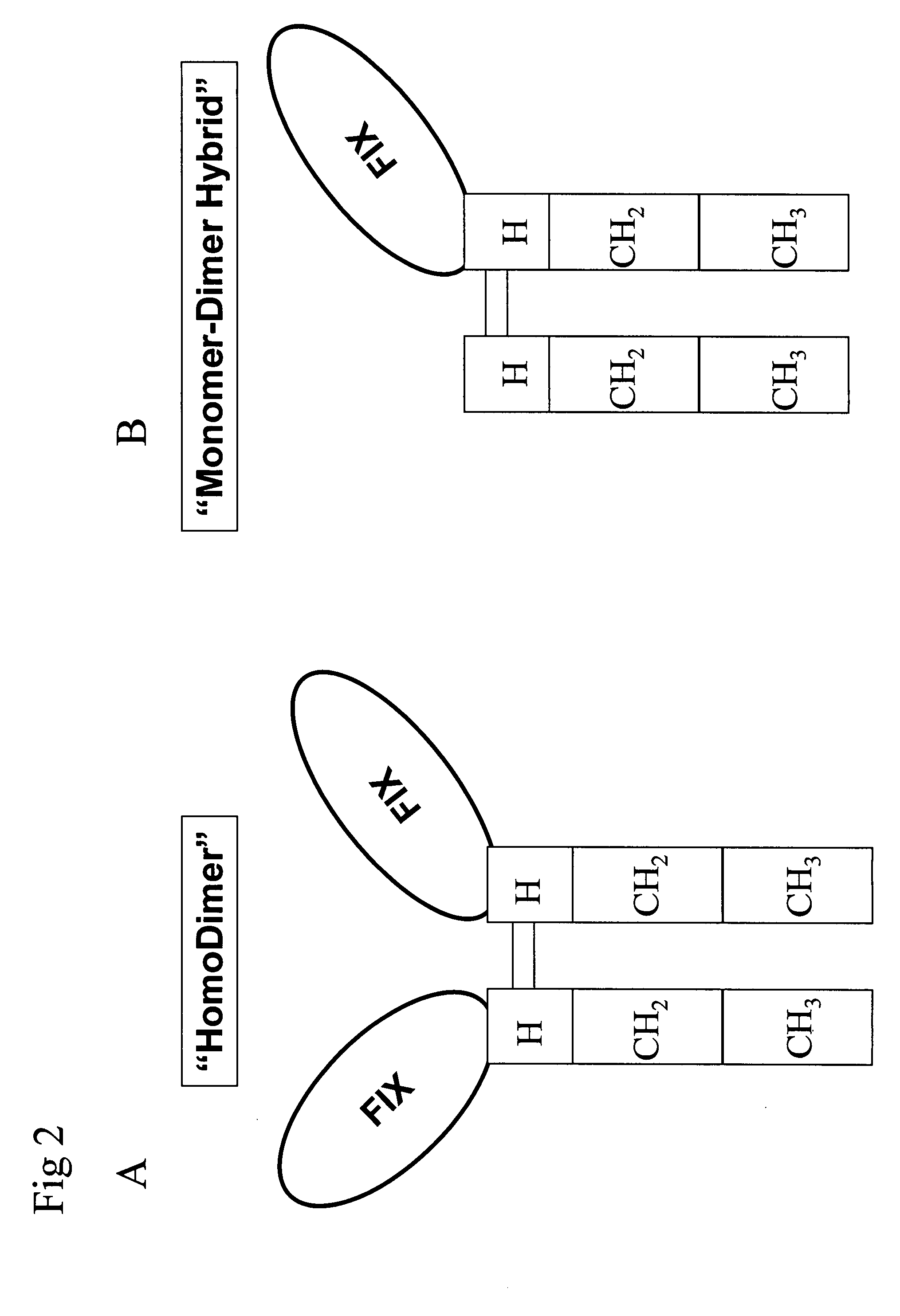 PC5 as a factor IX propeptide processing enzyme