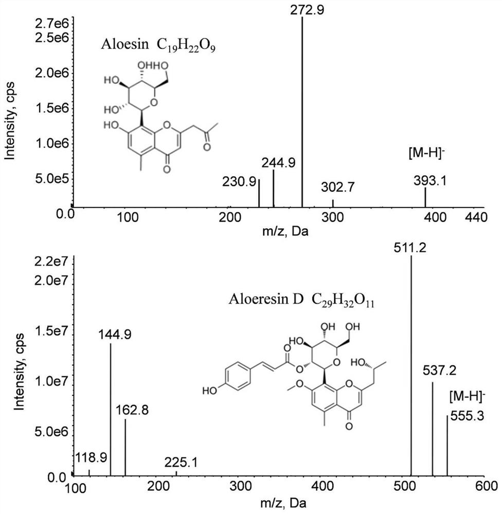 LC-MS/MS (Liquid Chromatography-Mass Spectrometry/Mass Spectrometry) determination method of aloesin in rat plasma