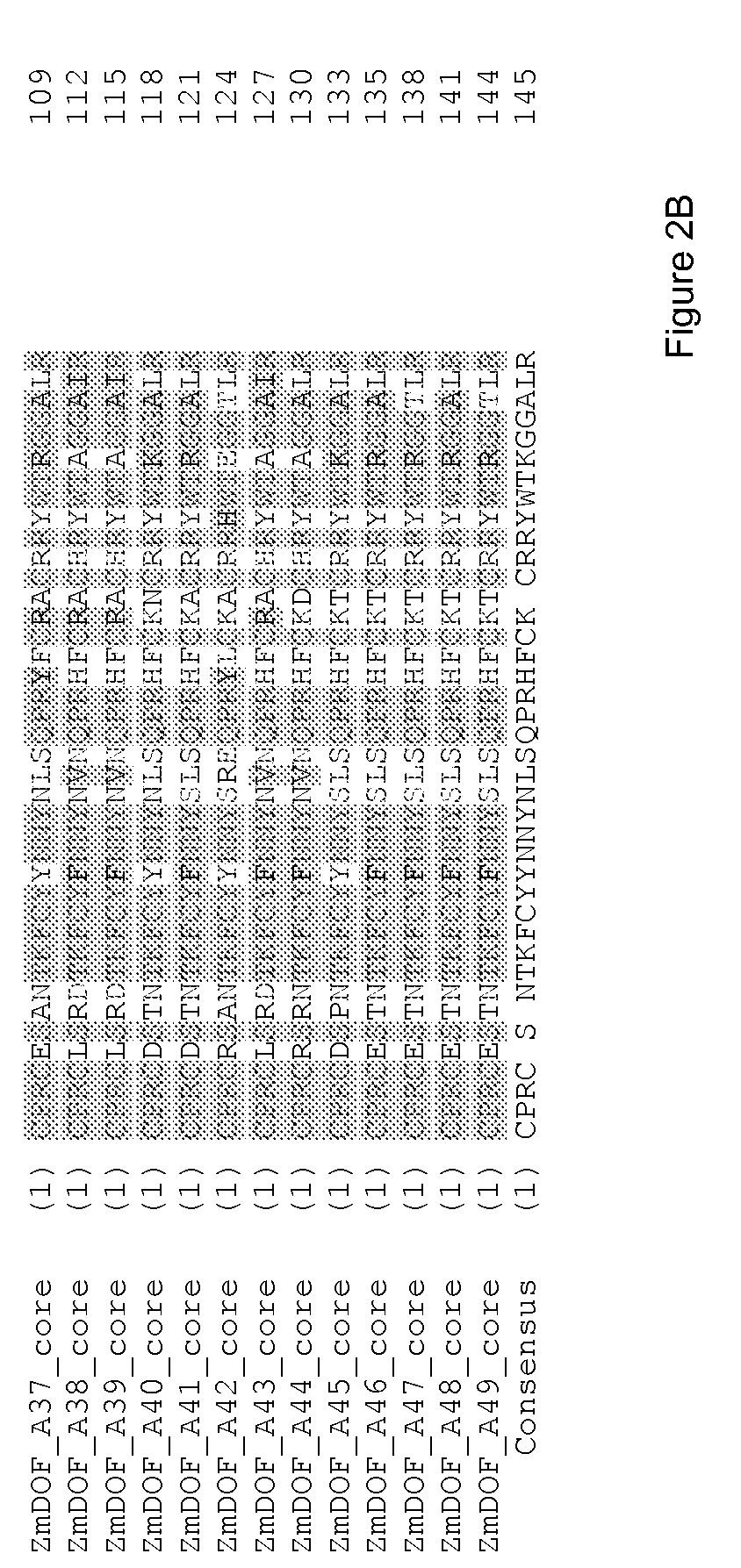 Dof (dna binding with one finger) sequences and methods of use