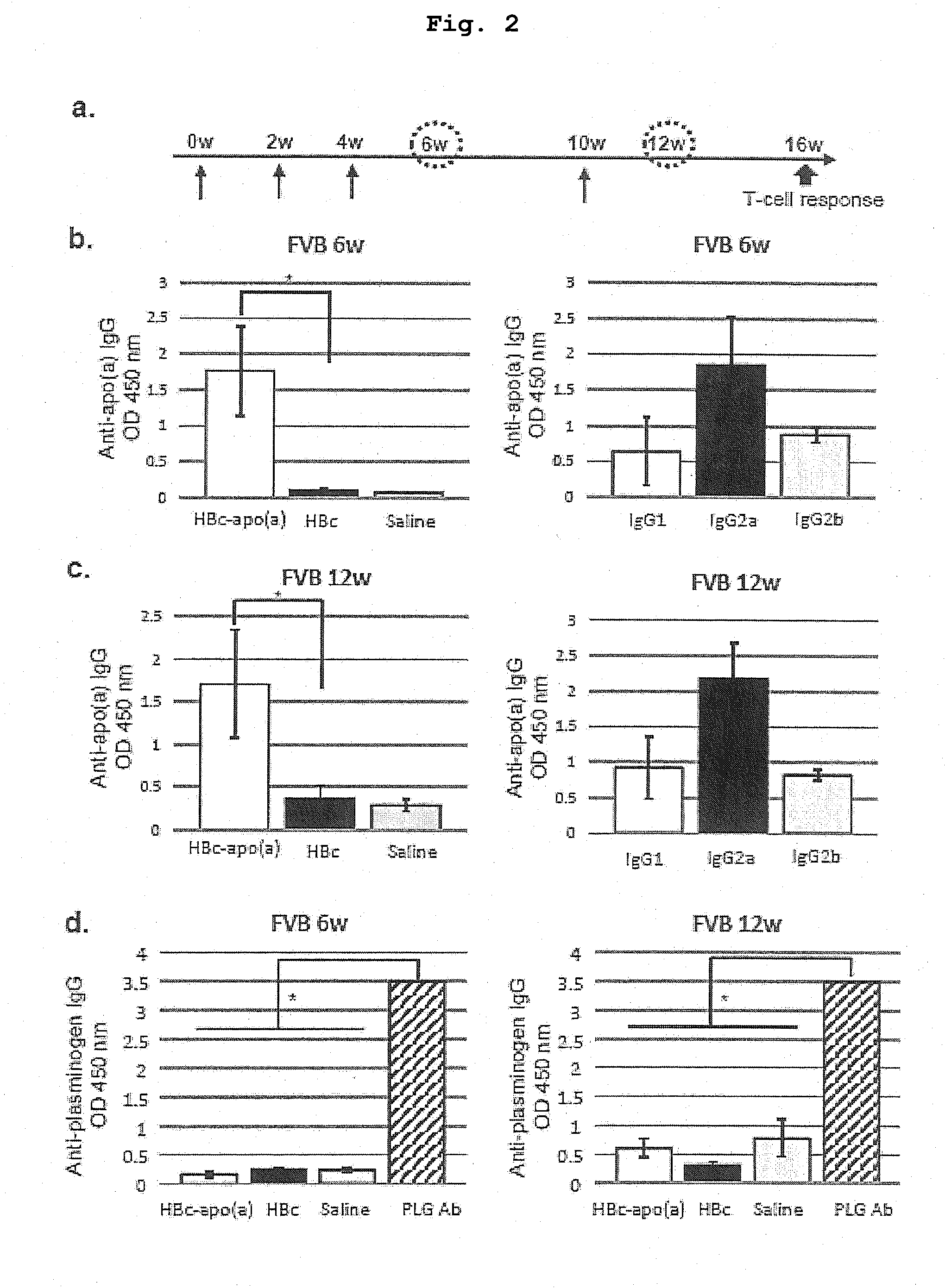 DNA VACCINE CONTAINING SPECIFIC EPITOPE OF APOLIPOPROTEIN (a)