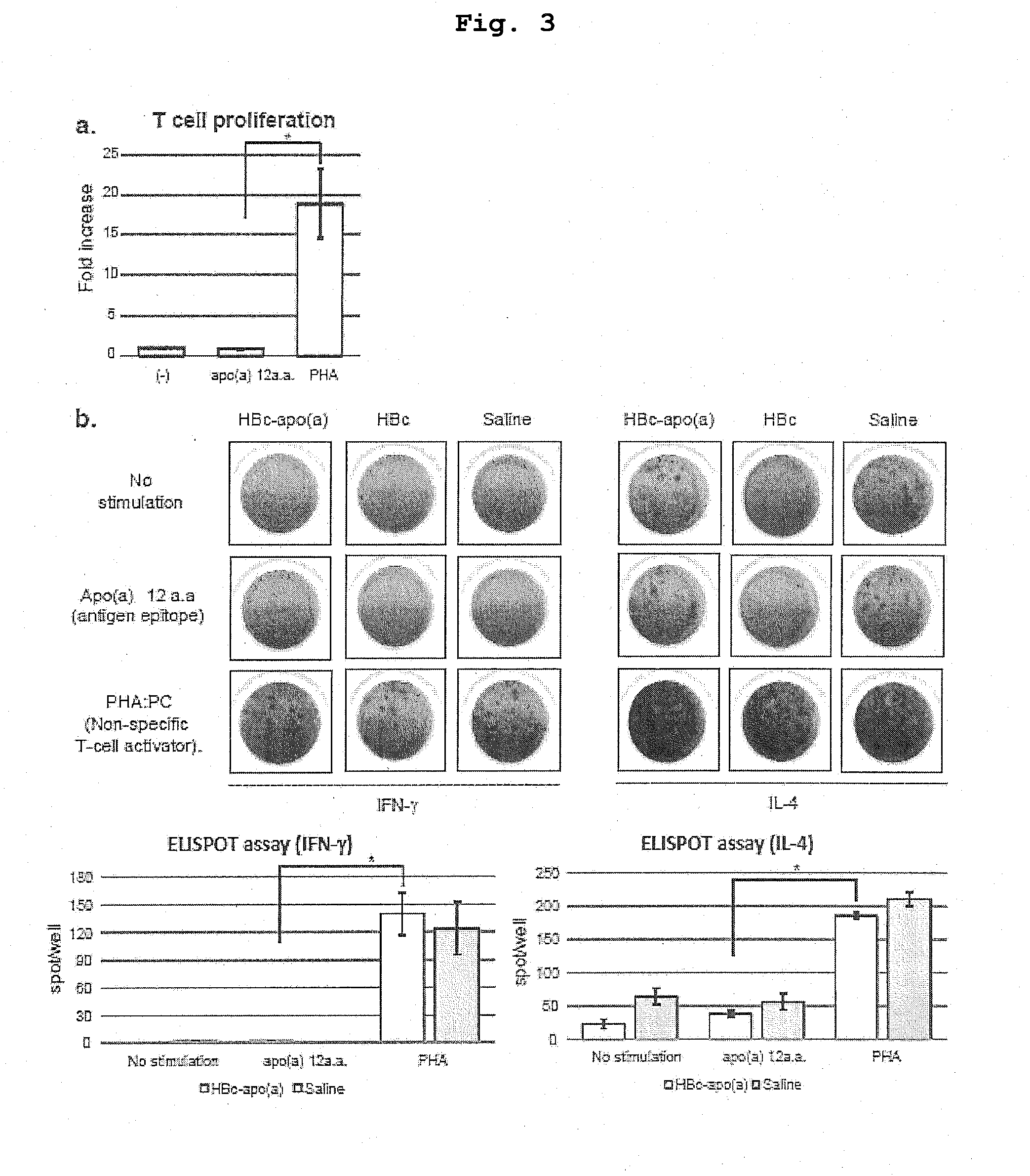 DNA VACCINE CONTAINING SPECIFIC EPITOPE OF APOLIPOPROTEIN (a)