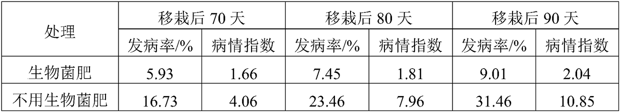 Biological bacterial fertilizer for preventing flue-cured tobacco root rot and improving soil and preparation and application thereof