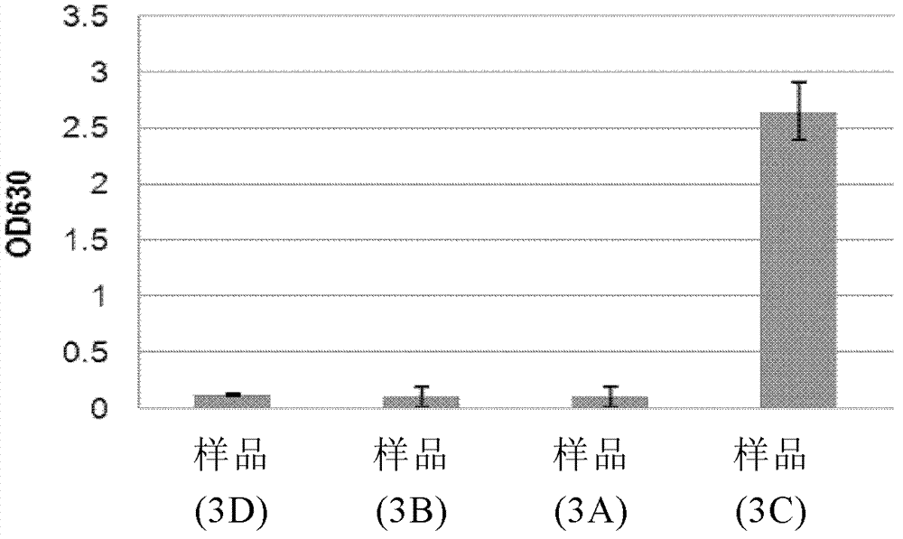 Melamine colorimetric detection method based on enzymatic amino hydrolysis reaction