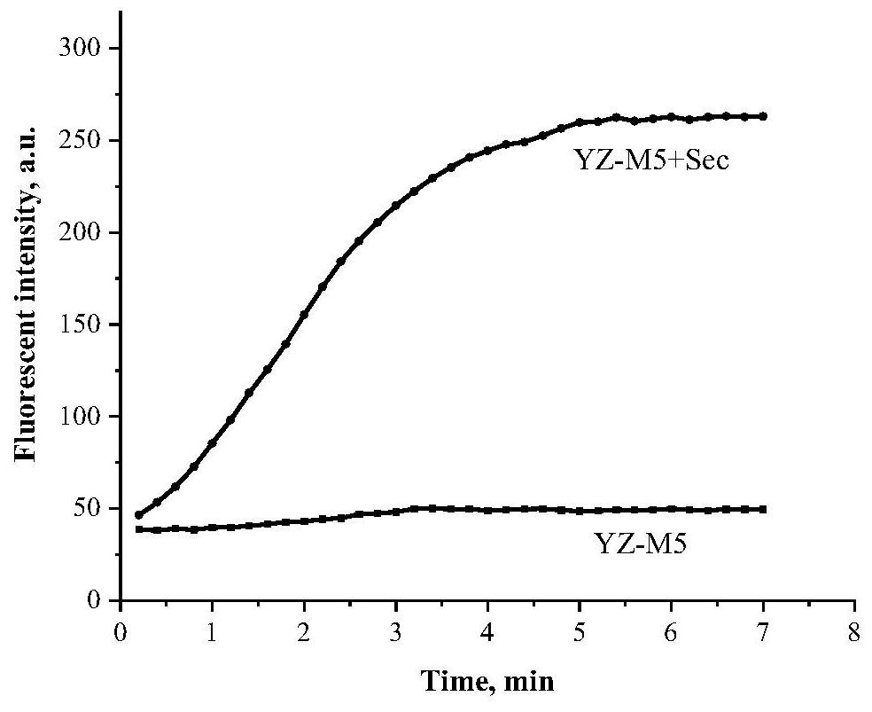 Near-infrared selenocysteine fluorescent probe as well as preparation method and application thereof