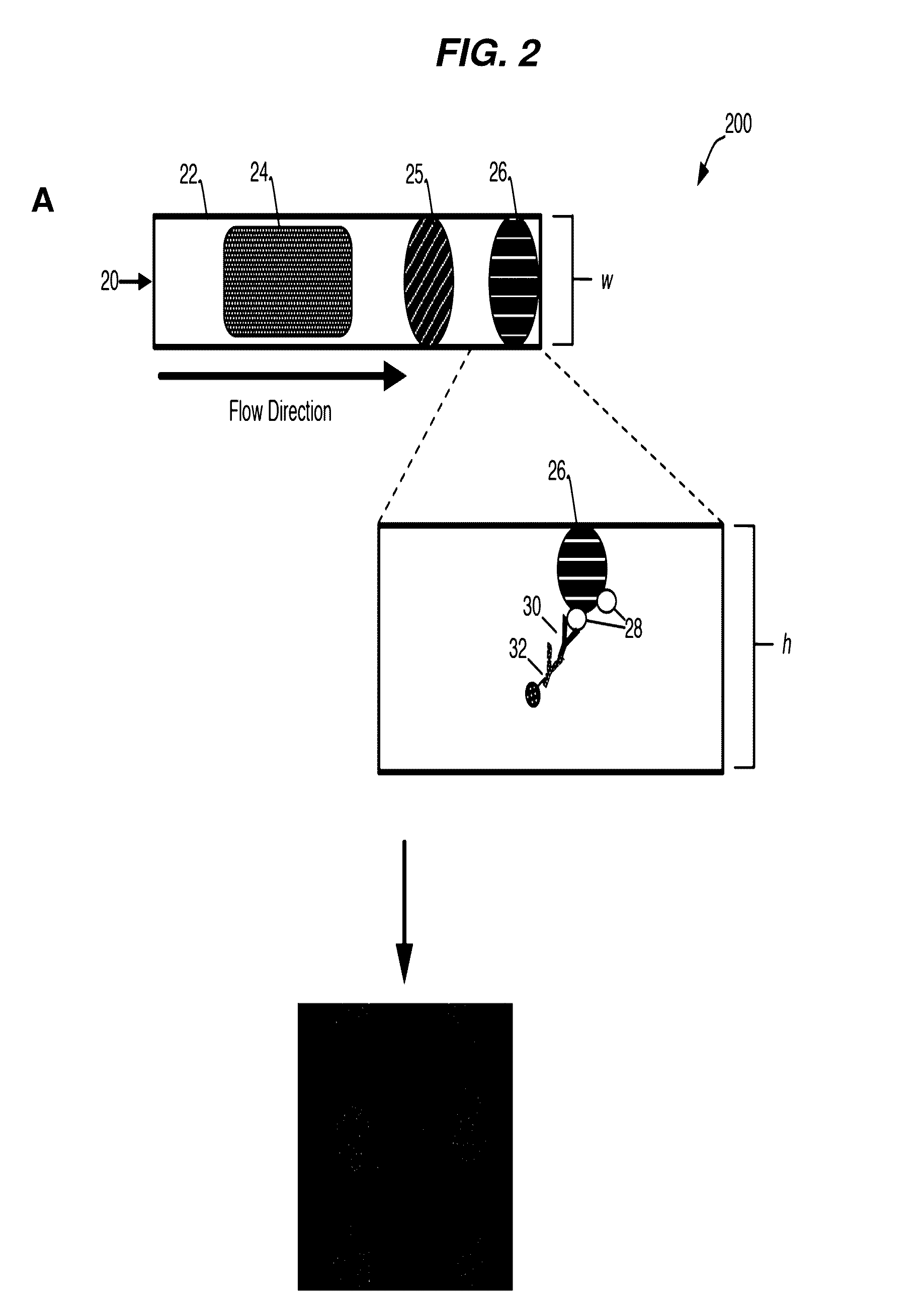 Methods and systems for detecting an analyte in a sample