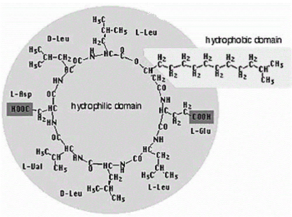 Application of iturins sodium surfactin as oil displacement agent and oil displacement agent containing iturins sodium surfactin