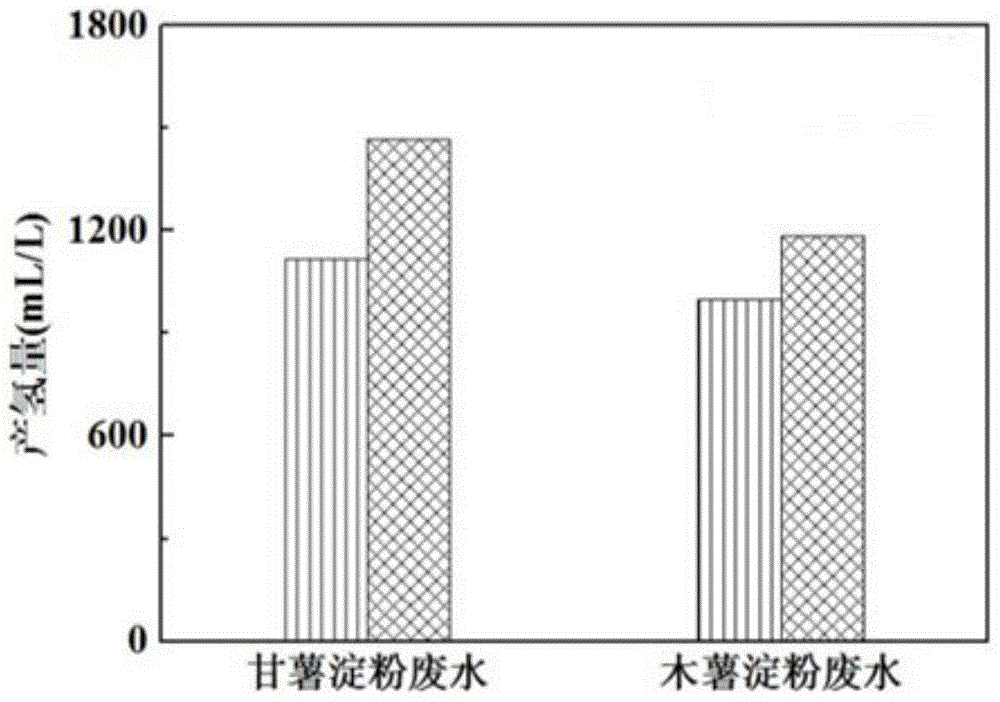 Method for treatment of starch wastewater and synchronous energy production by coculture of bacteria and microalgaes