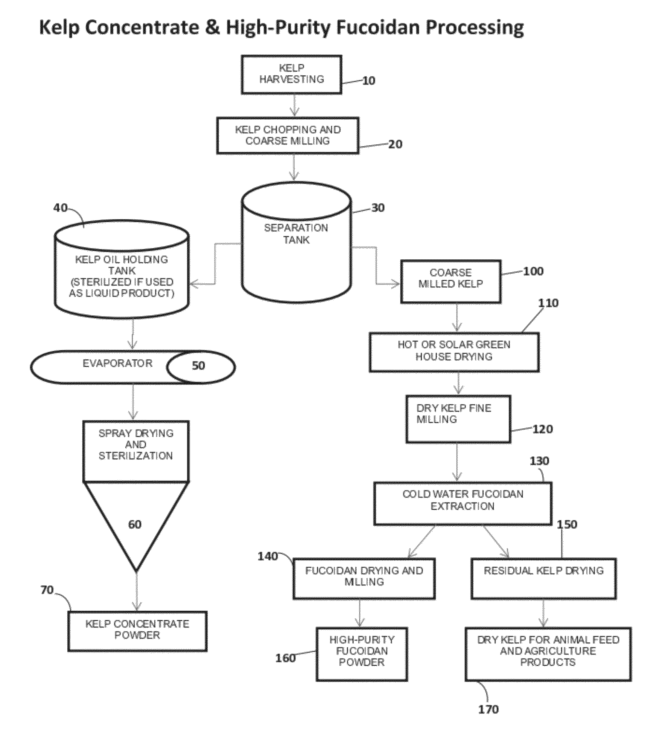 Macrocystis Pyrifera Derived Health and Wellness Products and Methods of Using the Same