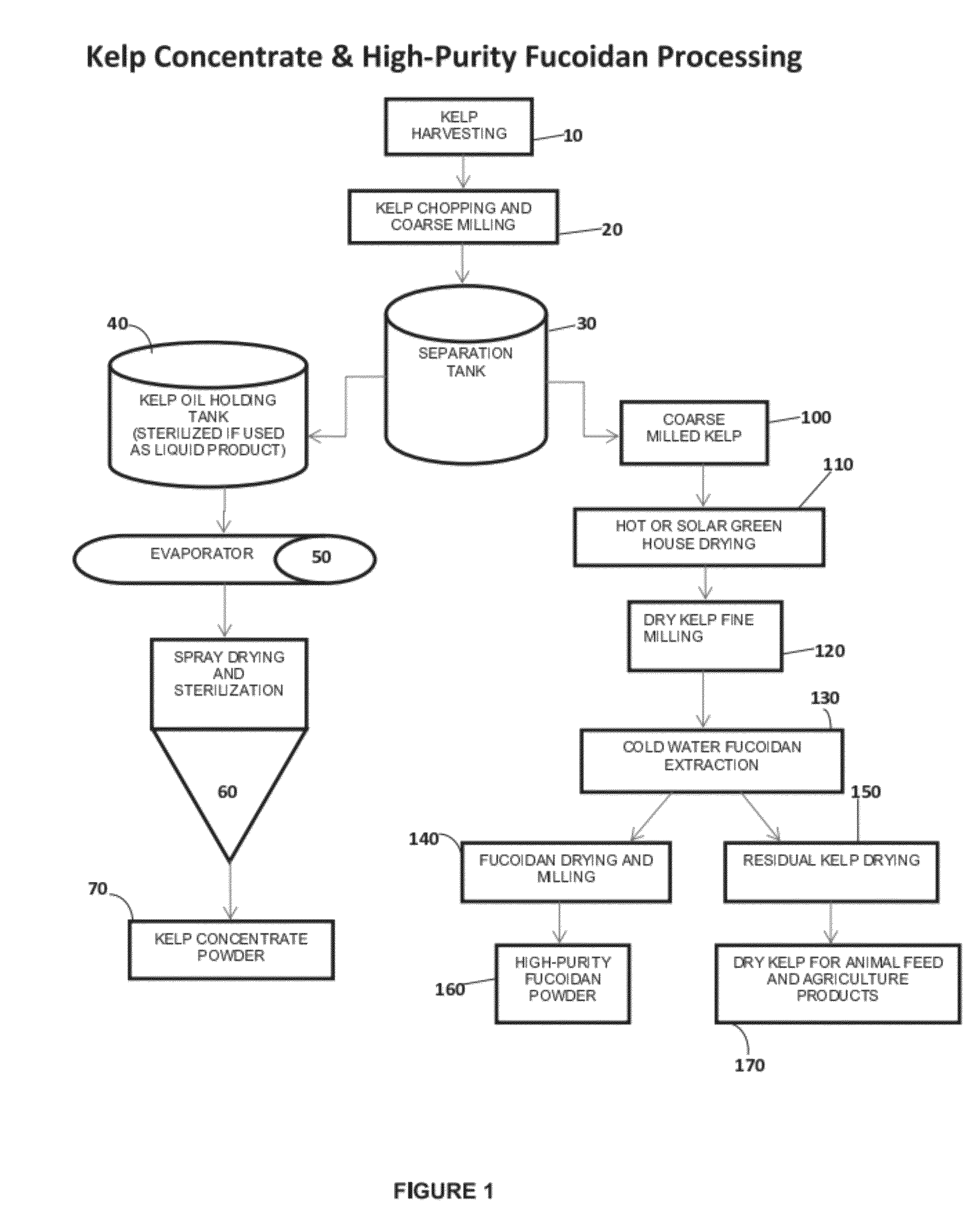 Macrocystis Pyrifera Derived Health and Wellness Products and Methods of Using the Same