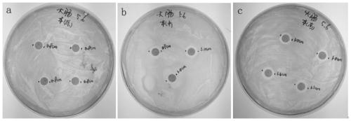 Virus delivery culture medium, and preparation method and application thereof