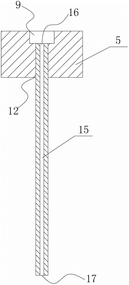 A kind of automatic sample injector and sampling needle