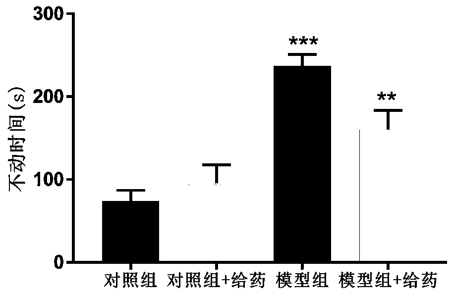 Application of CBLB502 protein in prevention and treatment of post-traumatic stress disorder