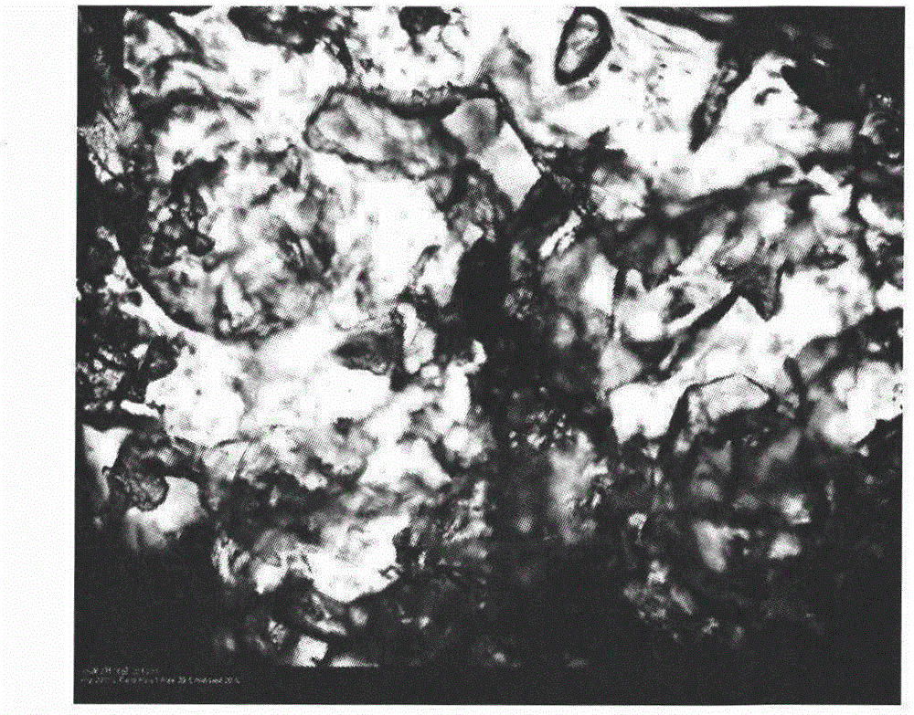 Self-healing liquid crystalline elastomer based on chitin-type liquid crystal and preparation method of self-healing liquid crystalline elastomer