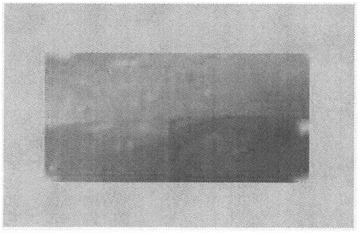 Self-healing liquid crystalline elastomer based on chitin-type liquid crystal and preparation method of self-healing liquid crystalline elastomer