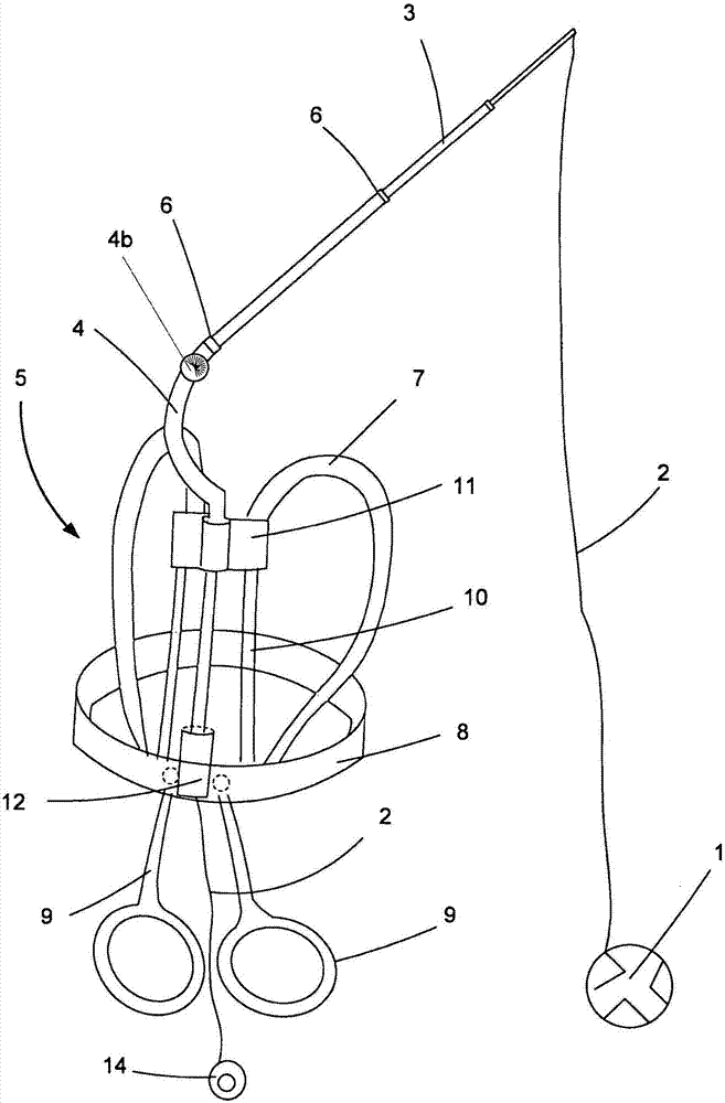 Training equipment comprising harness for ball training