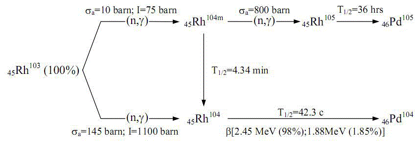 Rhodium self-powered detector signal delaying eliminating method based on IIR filtering