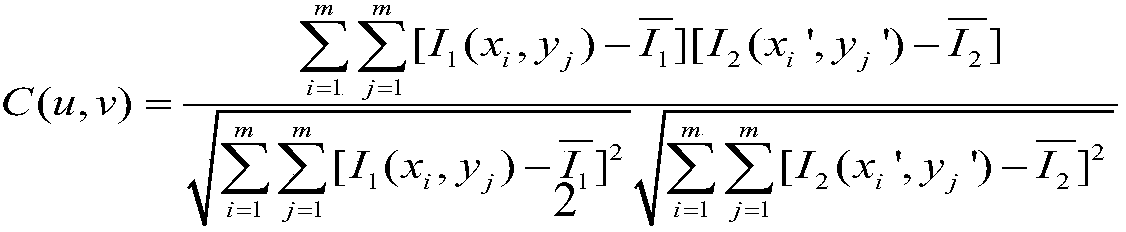 Young modulus measurement method based on microscopic optical digital speckle method