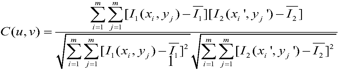 Young modulus measurement method based on microscopic optical digital speckle method