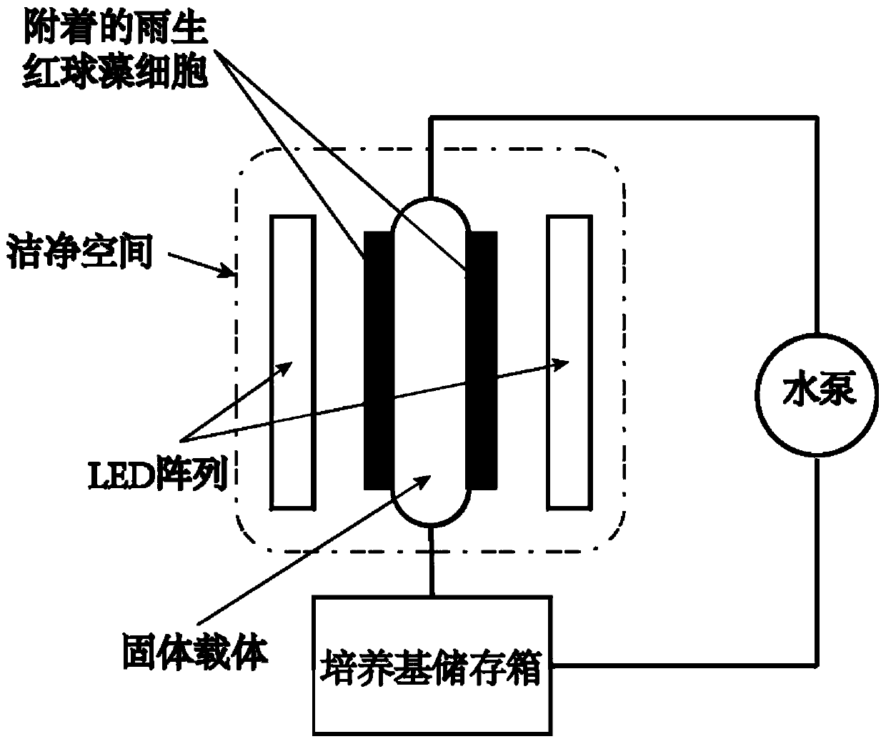 Method for producing astaxanthin by using haematococcus pluvialis