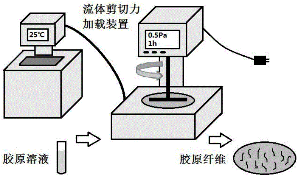 Flow shear stress mediated collagen self-assembly method