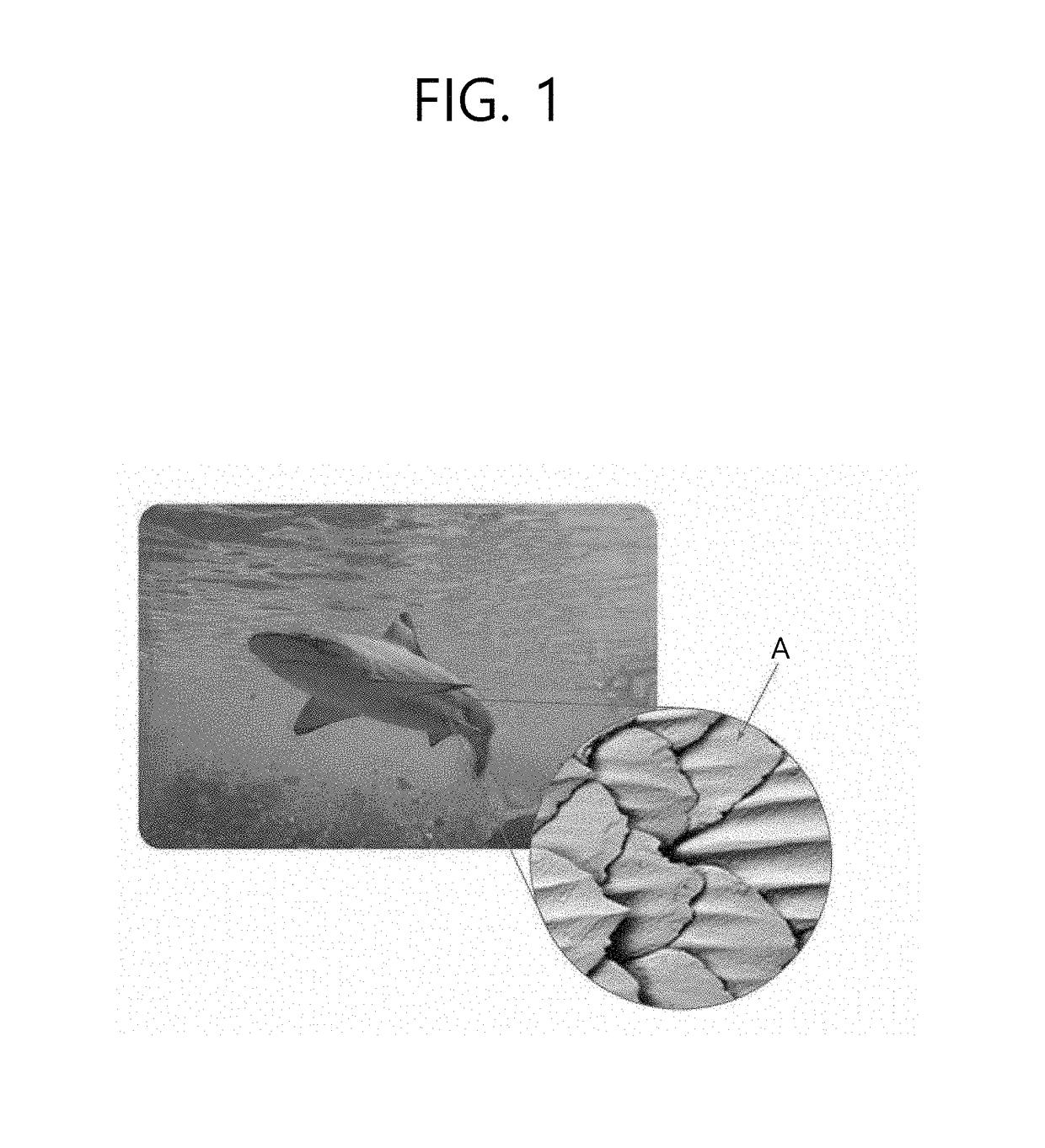 Low-friction member imitating shark skin and manufacturing method therefor