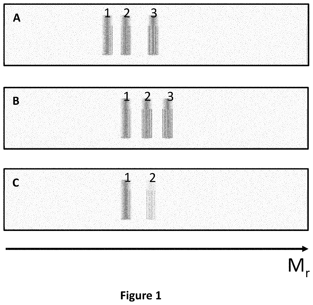 Method for specific identification of target biomolecules