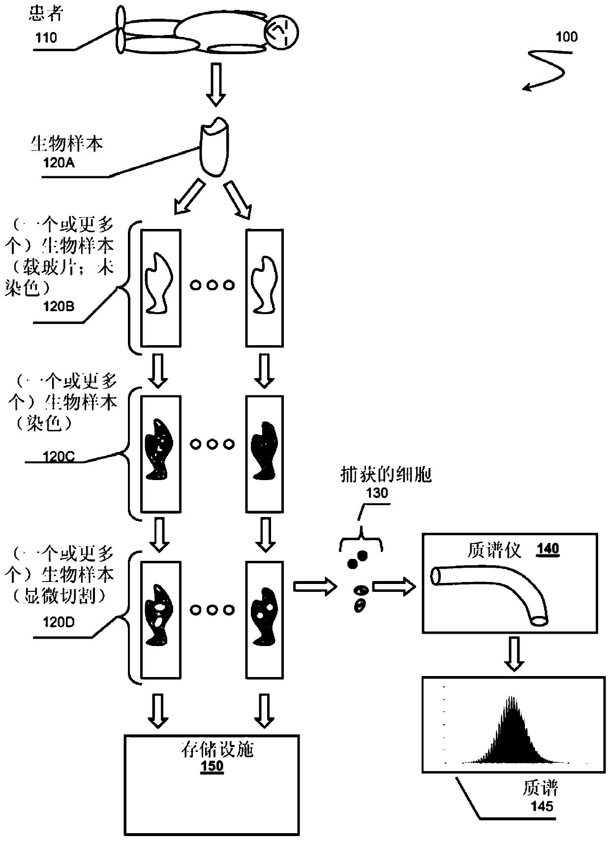 Sample tracking via sample tracking chains, systems and methods