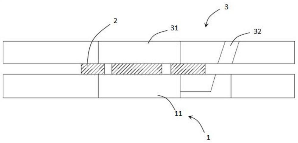 Organ chip, epithelial/endothelial barrier model device, and manufacturing method of organ chip and epithelial/endothelial barrier model device