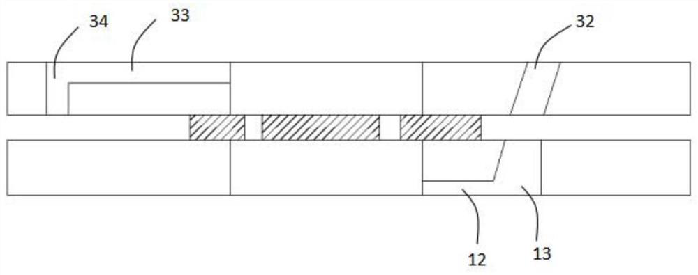 Organ chip, epithelial/endothelial barrier model device, and manufacturing method of organ chip and epithelial/endothelial barrier model device