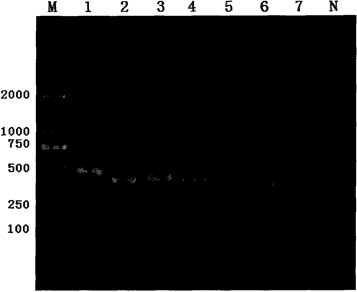 DNA molecular label technology and DNA incomplete interrupt policy-based PCR sequencing method