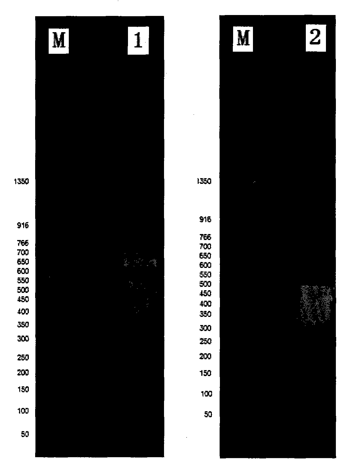 DNA molecular label technology and DNA incomplete interrupt policy-based PCR sequencing method