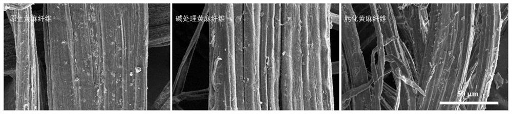 Uranium adsorbent and preparation method and application thereof