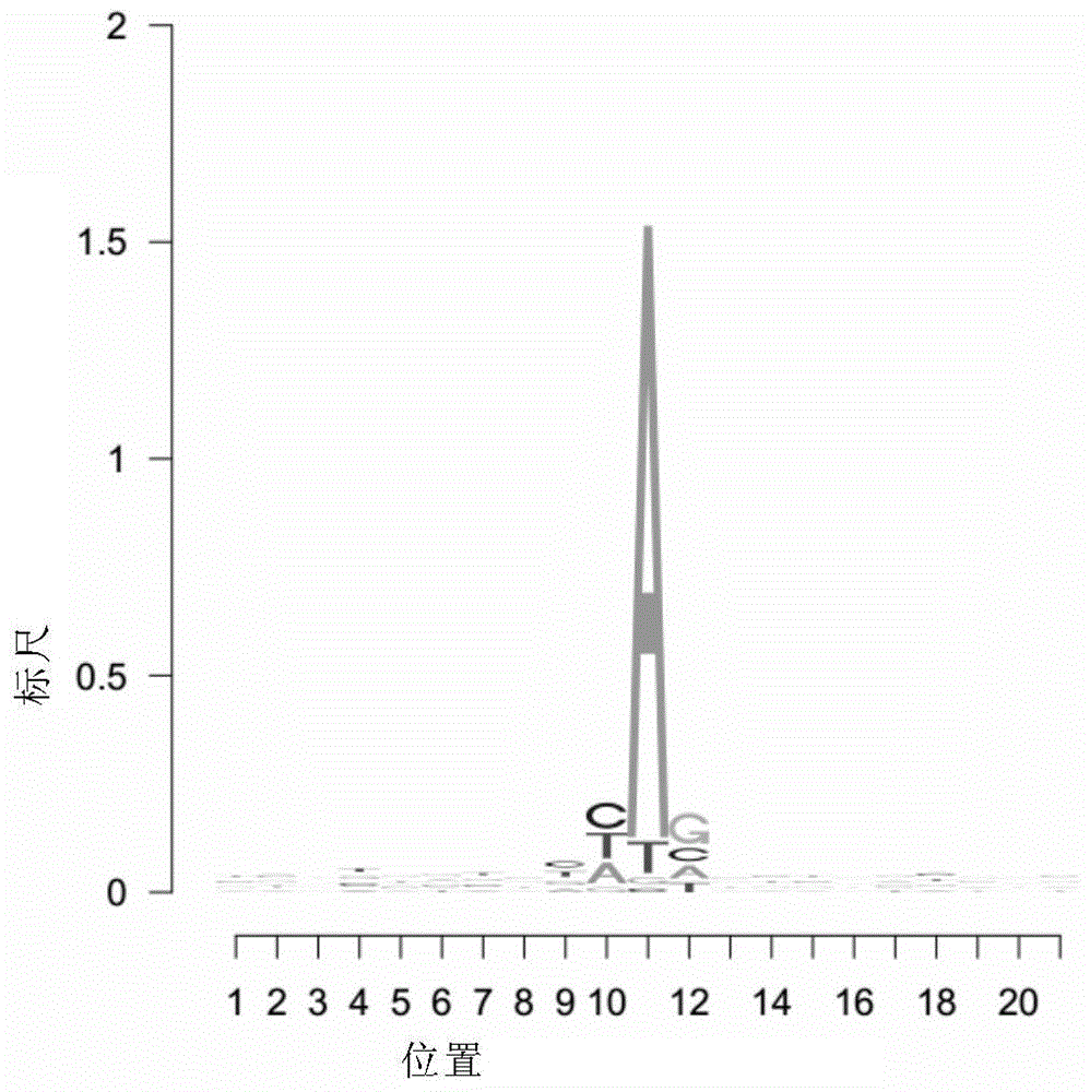 A feature analysis method for RNA editing sites