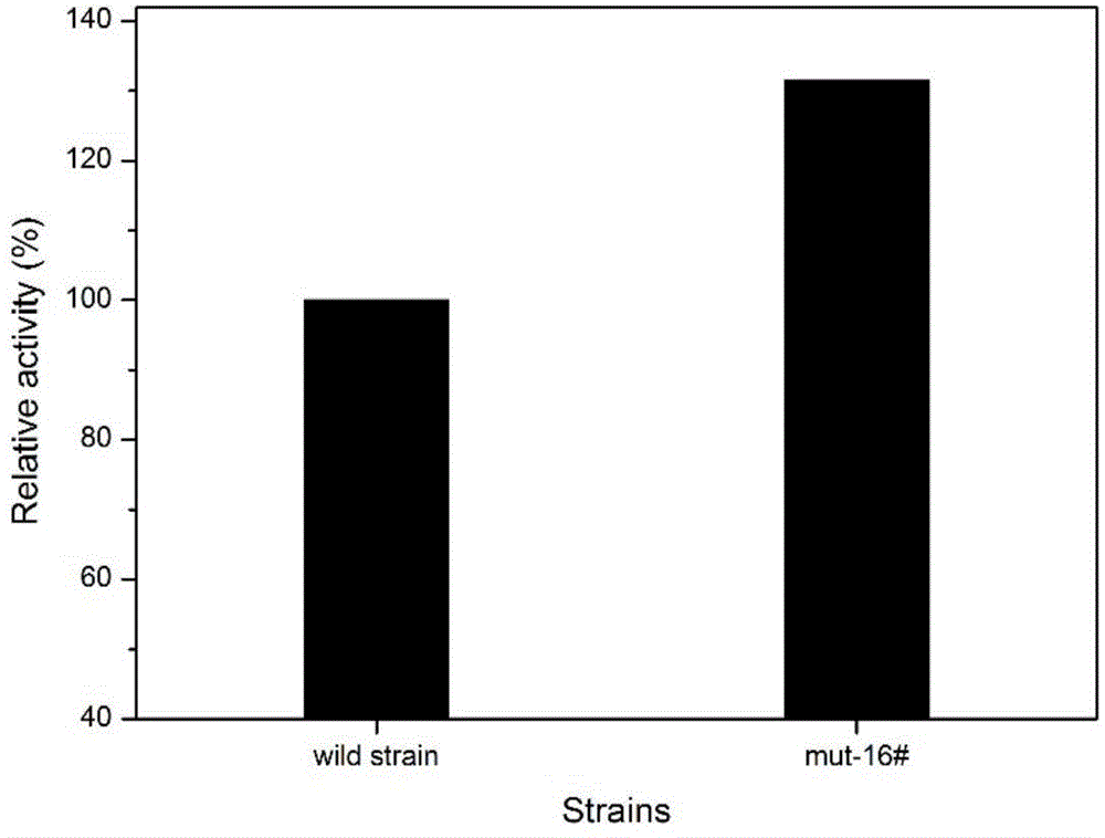 Bacillus subtilis heterologous protein expression quantity improving method