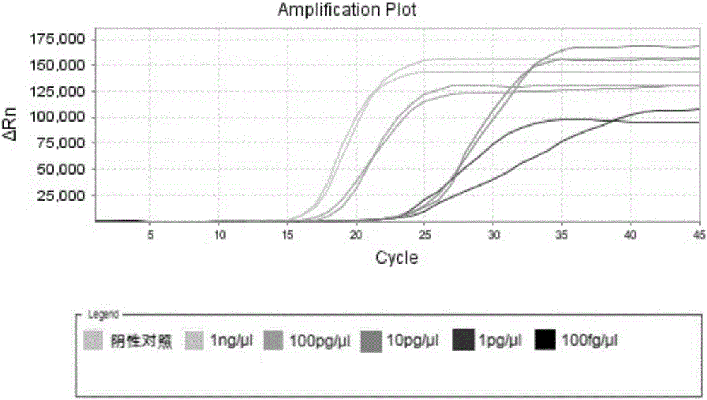 LAMP primer group and detection kit for staphylococcus aureus and use method of detection kit