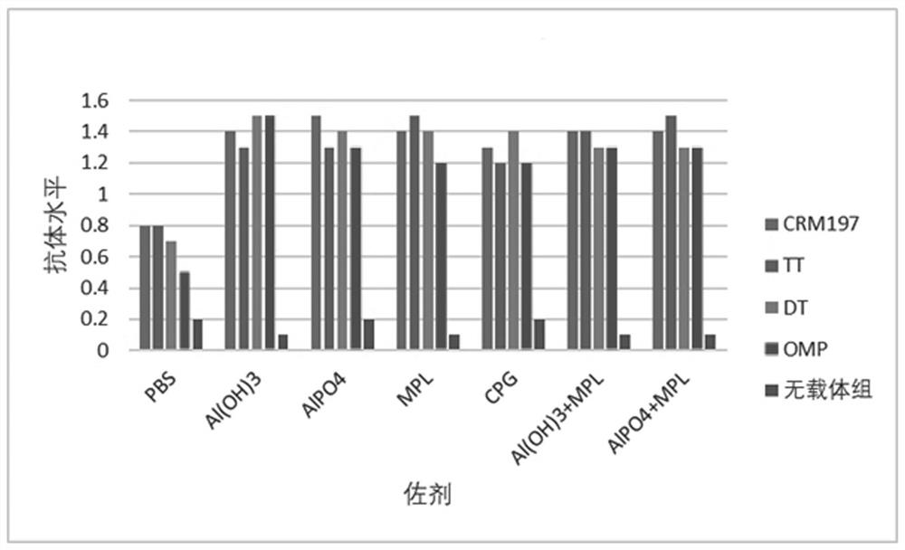 Polypeptide for preventing novel coronavirus pneumonia COVID-19, immunogenic conjugate and application thereof