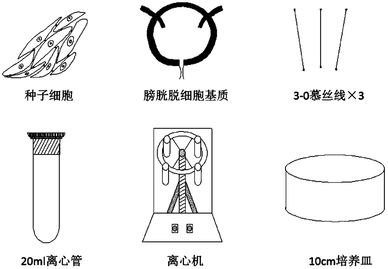 Method for using centrifugal planting to construct tissue engineering bladder