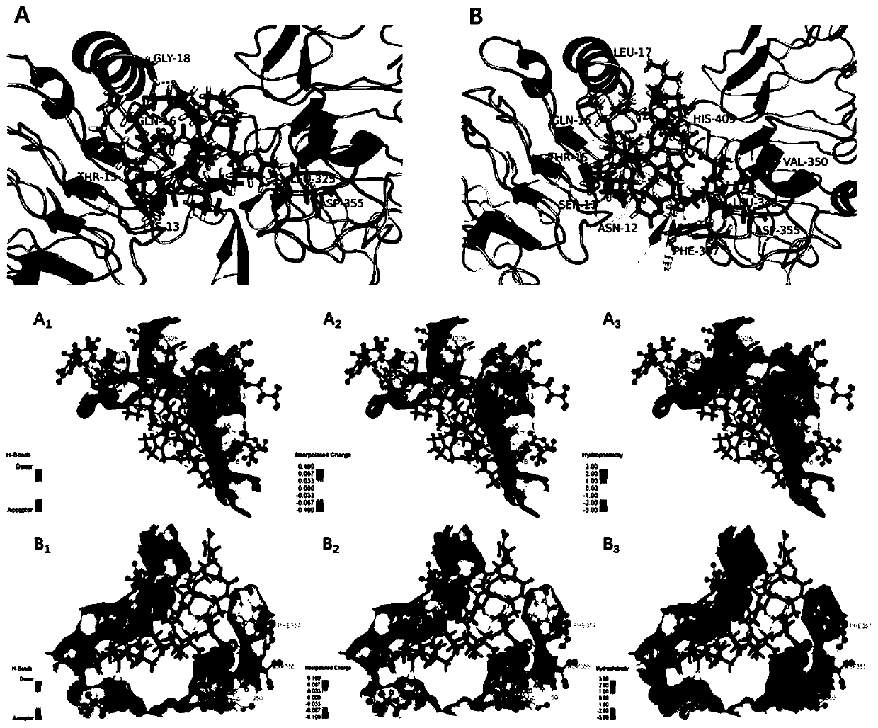 Method for evaluating structure activity of osteogenic growth active peptide