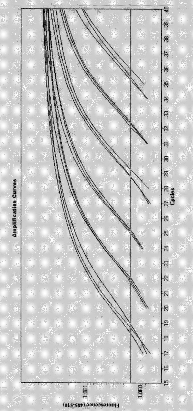 Primers and probe for detecting mouse Sendai virus and method thereof