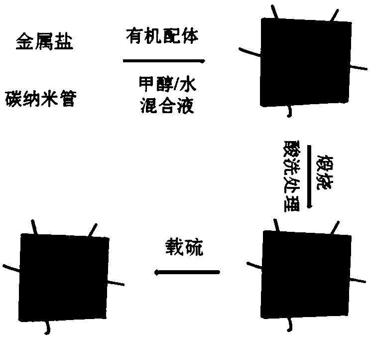 S@NPC/CNT composite material and preparation method and application thereof